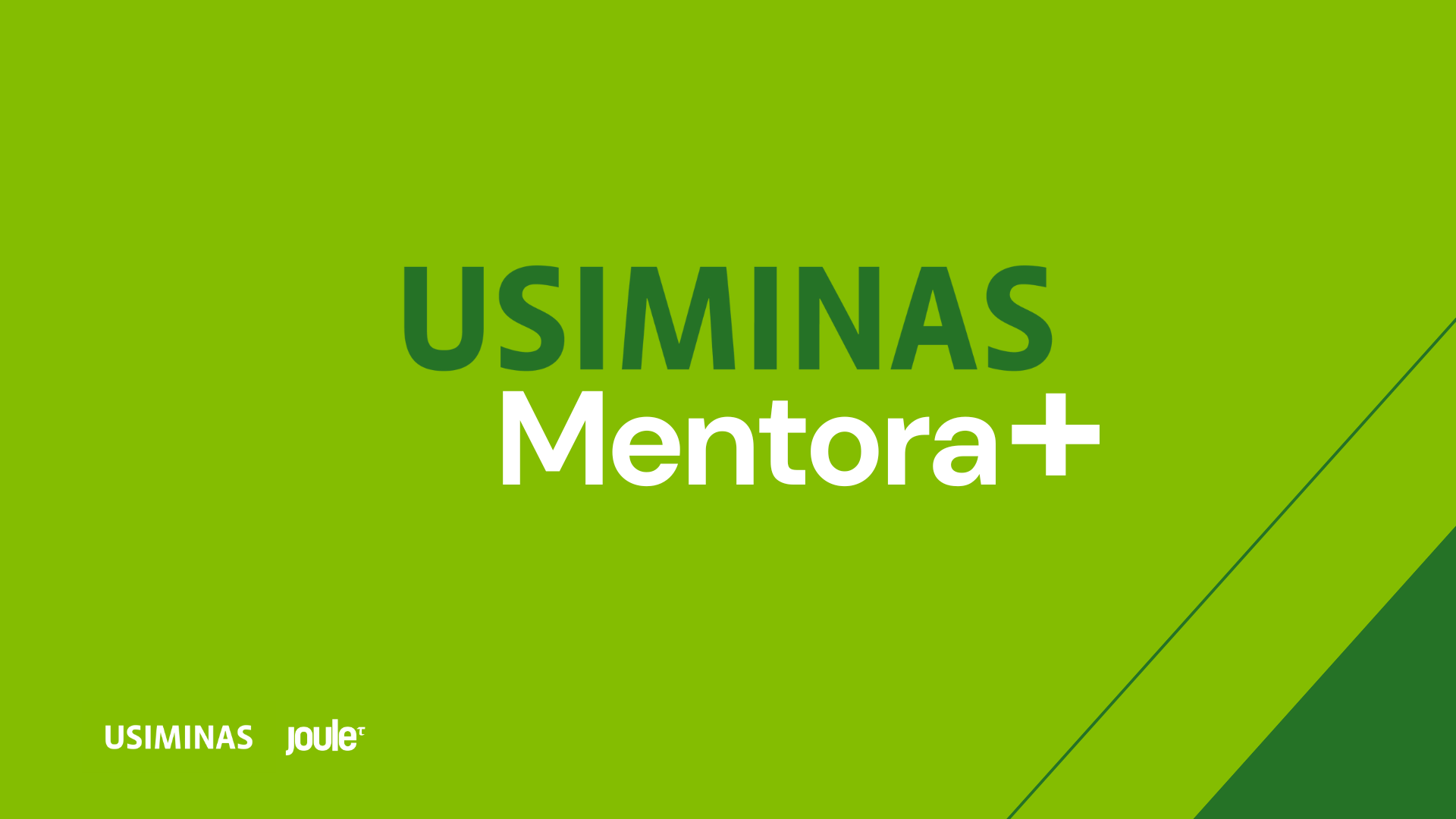 Protegido: [Mentor/a] Usiminas Mentora +